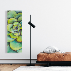 Canvas 16 x 48 - Watercolor succulent plant