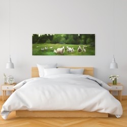 Toile 16 x 48 - Champ de moutons