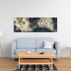 Canvas 16 x 48 - Old world map