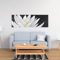 Toile 16 x 48 - Fleur de lotus et sa réflexion