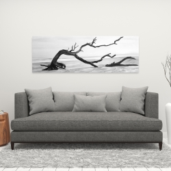 Canvas 16 x 48 - Dead tree in the middle of water
