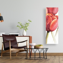 Canvas 16 x 48 - Blossoming tulips closeup