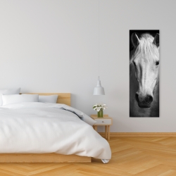 Canvas 16 x 48 - Monochrome horse