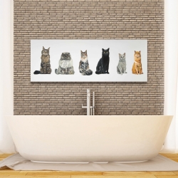 Canvas 16 x 48 - Six cats lined up