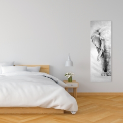 Canvas 16 x 48 - Great elephant