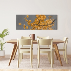 Canvas 16 x 48 - Golden wattle plant with pugg ball flowers