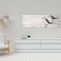 Canvas 16 x 48 - Two sandpipiers birds