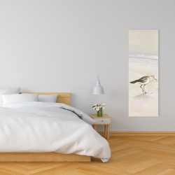 Canvas 16 x 48 - Semipalmated sandpiper on the beach