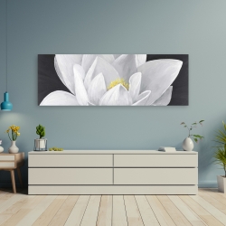 Toile 20 x 60 - Vue de haut d'une fleur de lotus