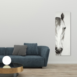 Toile 20 x 60 - Cheval noir & blanc de face