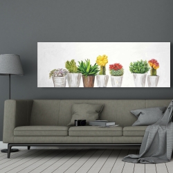 Toile 20 x 60 - Petit pots cactus et succulents