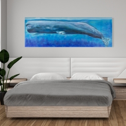 Canvas 20 x 60 - Sperm whale