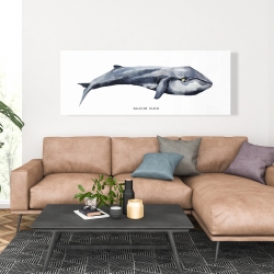 Canvas 20 x 60 - Whale