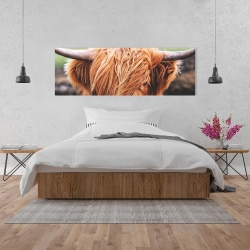 Toile 20 x 60 - Vache highland portrait