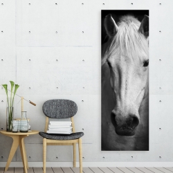Canvas 20 x 60 - Monochrome horse