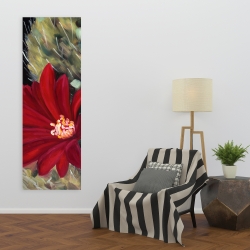 Toile 20 x 60 - Fleur rouge de cactus echinopsis