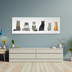 Canvas 20 x 60 - Six cats lined up