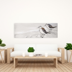 Canvas 20 x 60 - Two sandpipiers birds