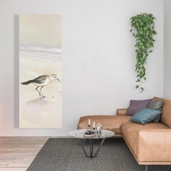 Canvas 20 x 60 - Semipalmated sandpiper on the beach