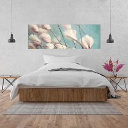 Canvas 20 x 60 - Cotton grass flowers in the wind