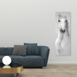 Toile 20 x 60 - Cheval blanc puissant monochrome