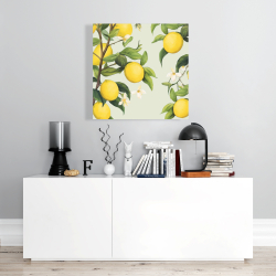 Canvas 24 x 24 - Flowery lemons