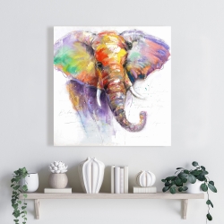 Toile 24 x 24 - Magnifique éléphant coloré