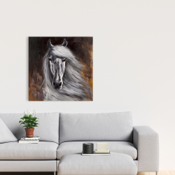 Toile 24 x 24 - Fier cheval blanc