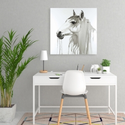 Canvas 24 x 24 - Beautiful white horse