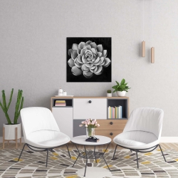 Toile 24 x 24 - Succulent noir et blanc