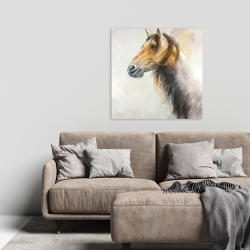 Canvas 24 x 24 - Wild horse