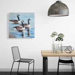 Canvas 24 x 24 - Canada geese in water