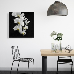 Canvas 24 x 24 - Beautiful orchids