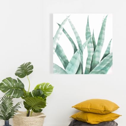 Plante désertique rayée à l'aquarelle