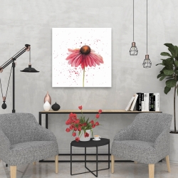 Canvas 24 x 24 - Pink daisy