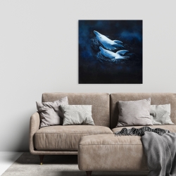 Canvas 24 x 24 - Two swimming dolphins