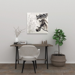 Toile 24 x 24 - Alpha le cheval blanc