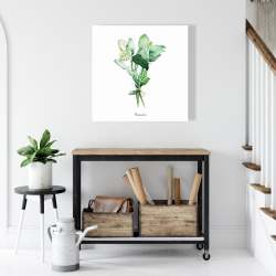 Canvas 24 x 24 - Tied up basil leaves bundle - fr