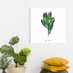 Canvas 24 x 24 - Bay leaves bundle -en