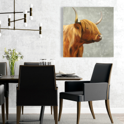 Canvas 24 x 24 - Beautiful higland cattle