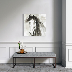 Canvas 24 x 24 - Beautiful wild horse