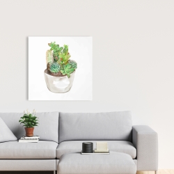 Toile 24 x 24 - Assortiment de cactus en pot