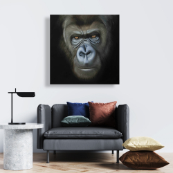 Canvas 24 x 24 - Gorilla face