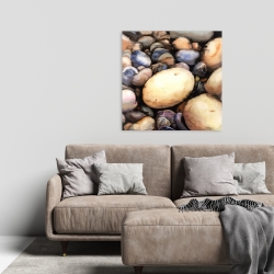 Canvas 24 x 24 - Beach pebbles