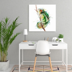 Canvas 24 x 24 - Watercolor chameleon