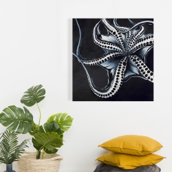 Canvas 24 x 24 - Octopus tentacle