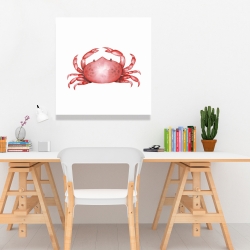 Canvas 24 x 24 - Crab