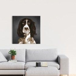 Canvas 24 x 24 - Brown english springer spaniel