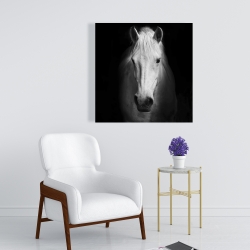 Canvas 24 x 24 - Monochrome horse