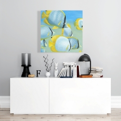 Canvas 24 x 24 - Butterfly fishes